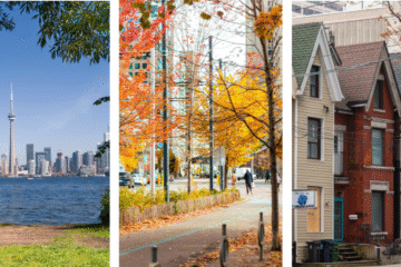 🏙️ Optimism Returns In The GTA: The Comeback Is On🔥